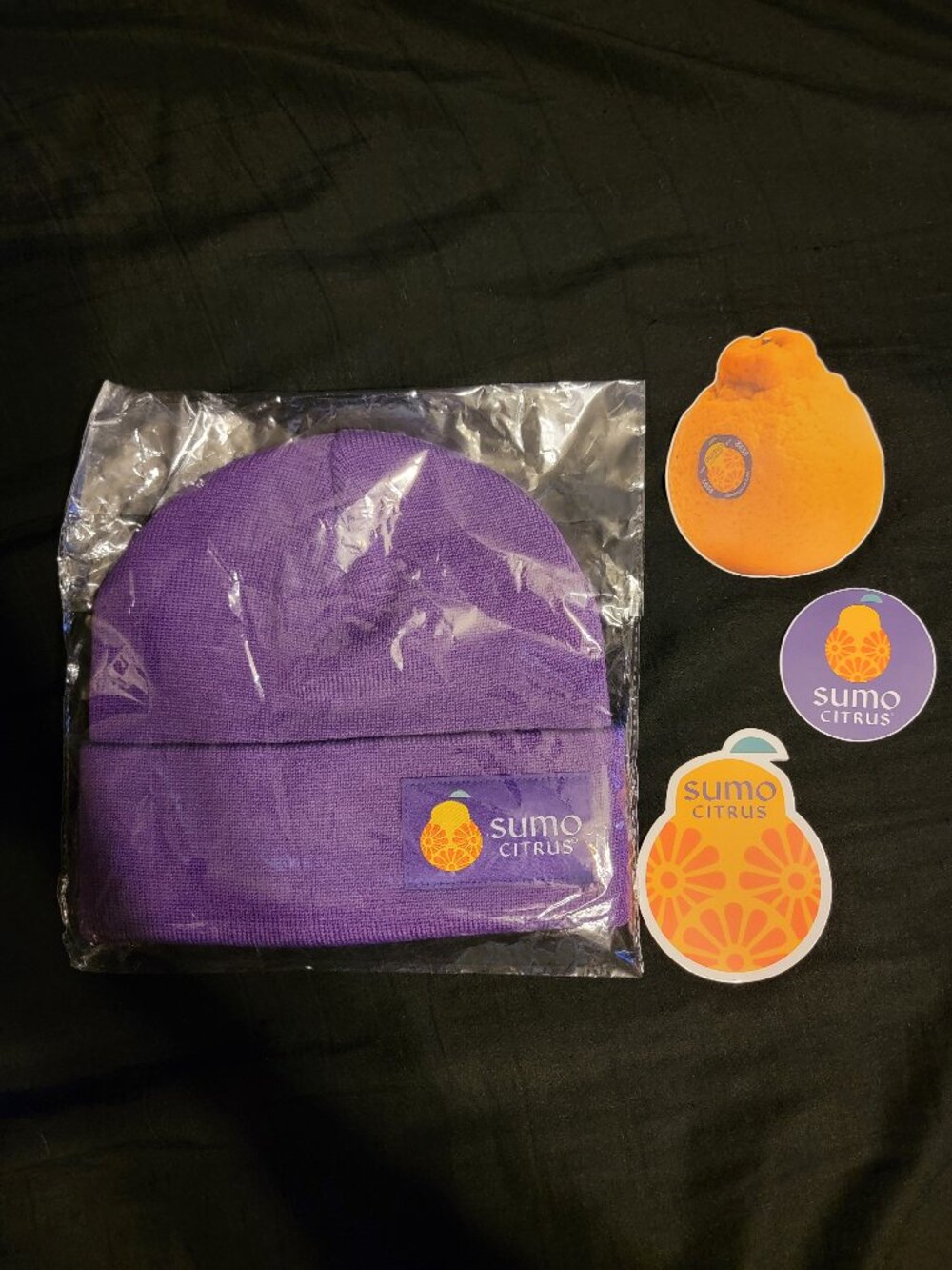 SUMO CITRUS BRAND EMBROIDERED KNIT BEANIE CAP LIMITED EDITION STICKERS GIFT PR